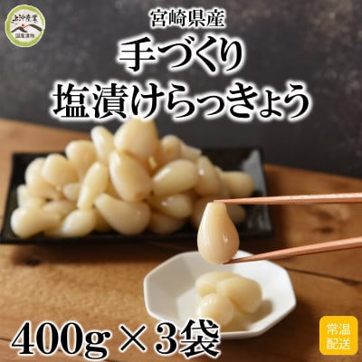 純国産 塩漬け・手作りらっきょうセット(400g×3袋・計1.2kg) 【MI321】