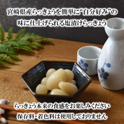 純国産 塩漬け・手作りらっきょうセット(400g×3袋・計1.2kg) 【MI321】
