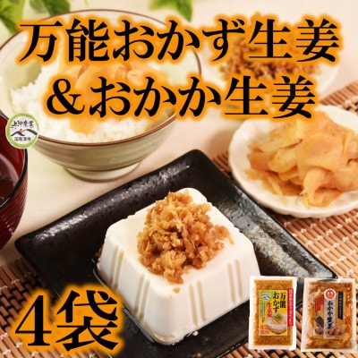 万能おかず生姜とおかか生姜セット各2袋合計4袋【MI722】