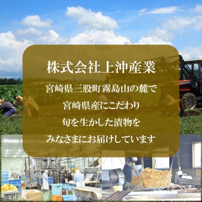 甘口スライス沢庵2袋合計500g【MI726】