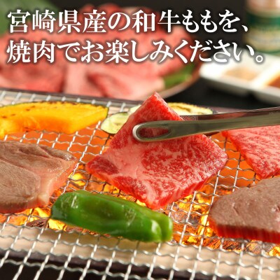宮崎和牛焼肉用オリジナルスパイスマキシマム3種セット
