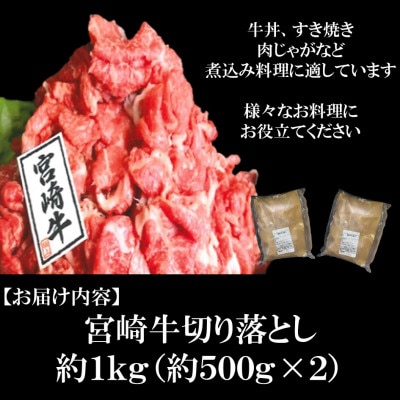 【さとふる限定】宮崎牛切り落とし 1kg【A-0105】