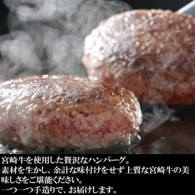 宮崎牛ハンバーグと特製豚みそ漬けセット【MI005】