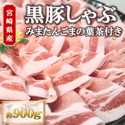 宮崎産黒豚しゃぶ~みまたんごまの葉茶付 約900g【A-0102】