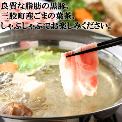 宮崎産黒豚しゃぶ~みまたんごまの葉茶付 約900g【A-0102】