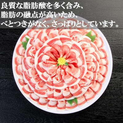 宮崎産黒豚しゃぶ~みまたんごまの葉茶付 約900g【A-0102】