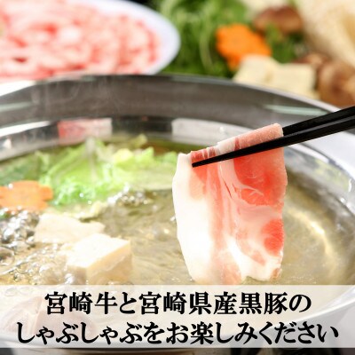 宮崎牛ロースしゃぶ&黒豚ロースしゃぶセット(合計約600g)みまたんごまの葉茶付【B-0103】
