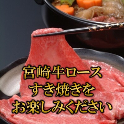 <プレミアム宮崎牛>すき焼き(約3kg・約300g×10)マキシマムスパイス3本付!【D-0108】