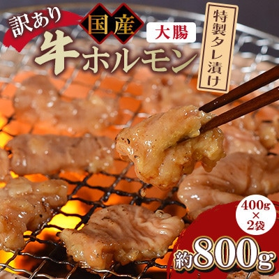【訳あり】国産牛ホルモン大腸(特製タレ漬け)約800g(約400g×2袋)【MI427】