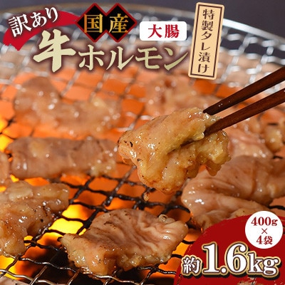 【訳あり】国産牛ホルモン大腸(特製タレ漬け)約1.6kg(約400g×4袋)【MI024】