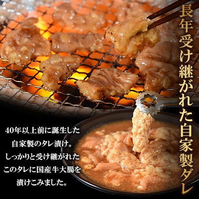 【訳あり】国産牛ホルモン大腸(特製タレ漬け)約1.6kg(約400g×4袋)【MI024】