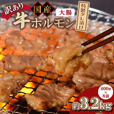【訳あり】国産牛ホルモン大腸(特製タレ漬け)約3.2kg(約400g×8袋)【MI428】