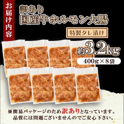 【訳あり】国産牛ホルモン大腸(特製タレ漬け)約3.2kg(約400g×8袋)【MI428】