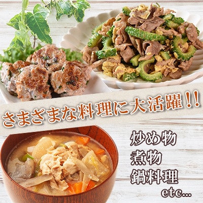 豚肉切り落とし 合計4.2kg(420g×10)　マキシマムスパイスオリジナル1本付き