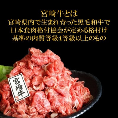 宮崎牛切り落とし約1kg  マキシマムスパイスオリジナル1本付き