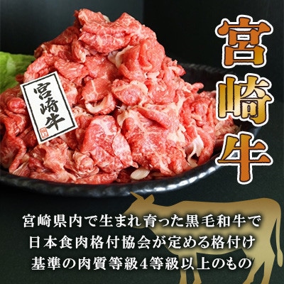 宮崎牛切り落とし約1kg  マキシマムスパイスオリジナル1本付き