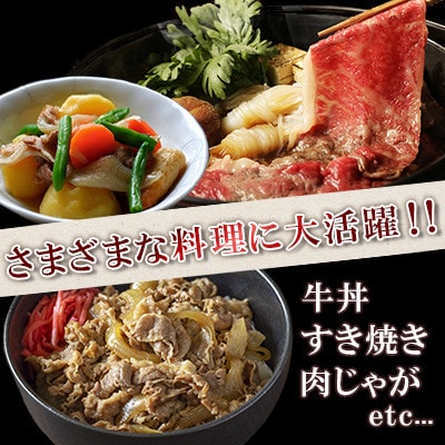 宮崎牛切り落とし約1kg  マキシマムスパイスオリジナル1本付き