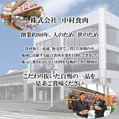 【2ヵ月毎定期便】国産豚みそ漬け120g×10枚(総量約1.2kg)【MI207】全3回