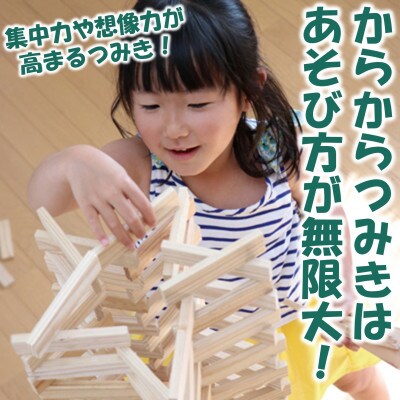みやざきスギのつみき　からからつみき108(120枚入)【A-1701】