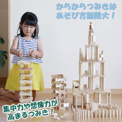 みやざきスギのつみき　からからつみき3種類クリエイティブセット340P【B-1708】