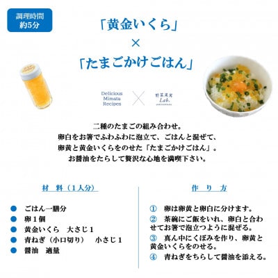 黄金イクラと美味高級品セット【B-0205】