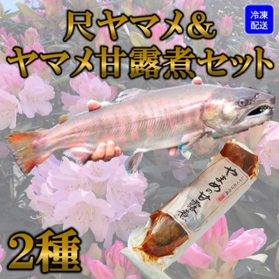 尺ヤマメプレミアムと甘露煮セット【MI020】