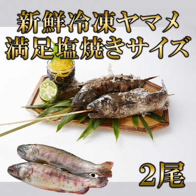 新鮮冷凍ヤマメ塩焼きサイズ約100g×2尾【MI770】