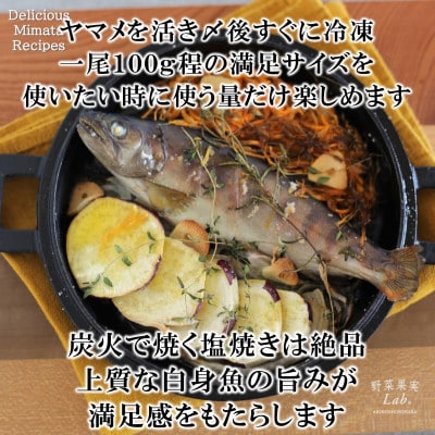 新鮮冷凍ヤマメ塩焼きサイズ約100g×2尾【MI770】