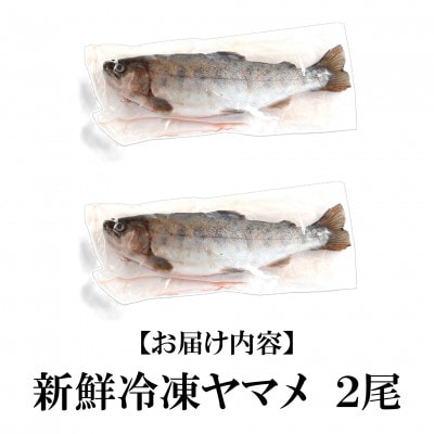 新鮮冷凍ヤマメ塩焼きサイズ約100g×2尾【MI770】