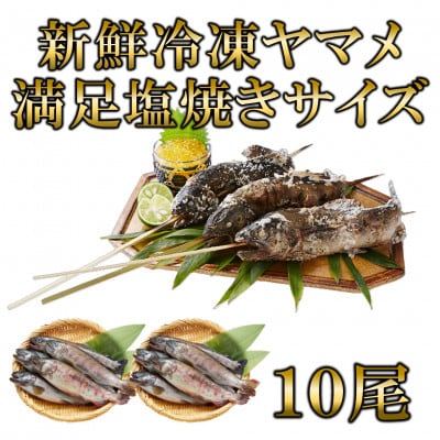 新鮮冷凍ヤマメ塩焼きサイズ約100g×10尾【MI771】
