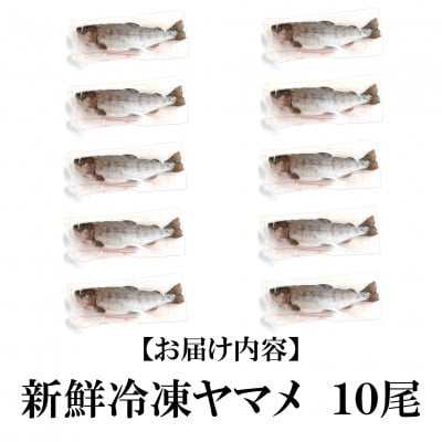 新鮮冷凍ヤマメ塩焼きサイズ約100g×10尾【MI771】