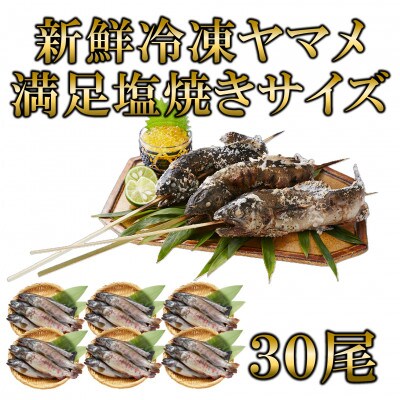 新鮮冷凍ヤマメ塩焼きサイズ約100g×30尾【MI772】