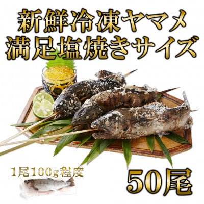 新鮮冷凍ヤマメ塩焼きサイズ約100g×50尾【MI773】
