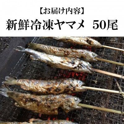 新鮮冷凍ヤマメ塩焼きサイズ約100g×50尾【MI773】