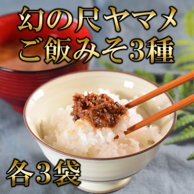 幻の尺ヤマメご飯みそ3種セット各100g×3【MI775】