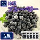 【数量限定】手摘み兒玉さんちの冷凍ブルーベリー 小分けパック200g×5袋【MI180】