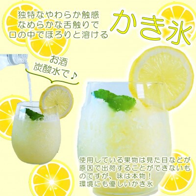 宮崎果実のふわふわかき氷レモン8袋【MI636】