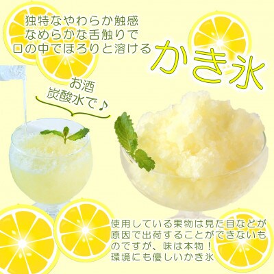 宮崎果実のふわふわかき氷日向夏8袋【MI637】