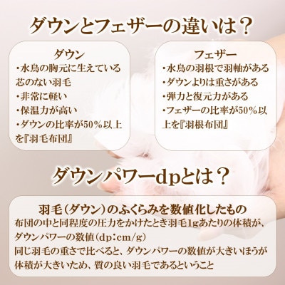 寒色系日本製羽毛掛ふとんシングルサイズ＜150cm×210cm＞【MI038】