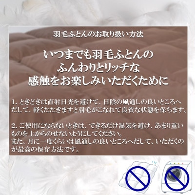寒色系日本製羽毛掛ふとんシングルサイズ＜150cm×210cm＞【MI038】