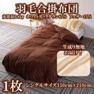 生成り系無地日本製羽毛合掛ふとんシングルサイズ(150cm×210cm)【MI087】