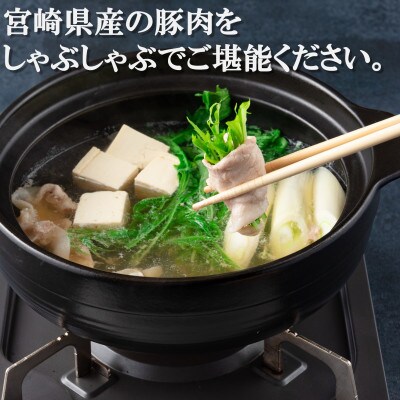 宮崎県産豚のロースしゃぶしゃぶ、ロースとヒレのトンカツ用 総量約1.4kg【MI130】