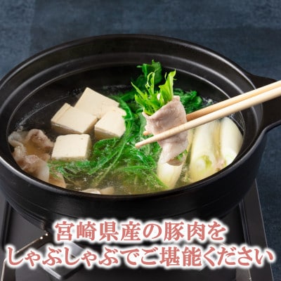 宮崎県産豚のロースしゃぶしゃぶ、ロースとヒレのトンカツ用　総量約1.4kg【MI130】