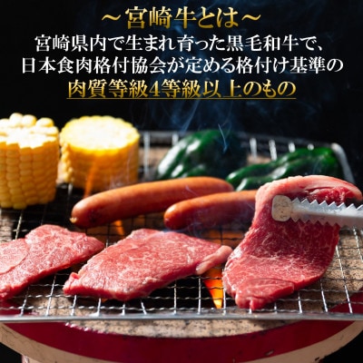 宮崎牛モモ焼肉(400g)と宮崎県産黒毛和牛小間切れ(200g)総量約600g【MI236】