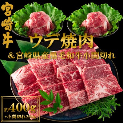 宮崎牛ウデ焼肉と宮崎県産黒毛和牛小間切れ総量約600g【MI141】(三股町)
