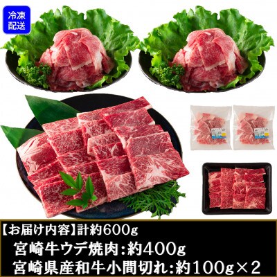 宮崎牛ウデ焼肉と宮崎県産黒毛和牛小間切れ総量約600g【MI141】(三股町)