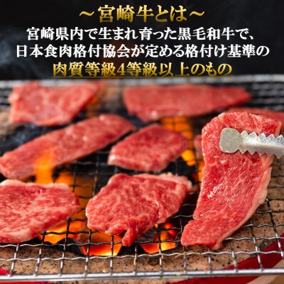 宮崎牛ウデ焼肉と宮崎県産黒毛和牛小間切れ総量約600g【MI141】(三股町)