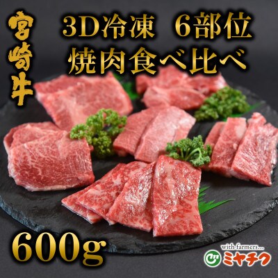 A4等級以上3D冷凍宮崎牛6部位焼肉食べ比べセット600g【MI089】(三股町)