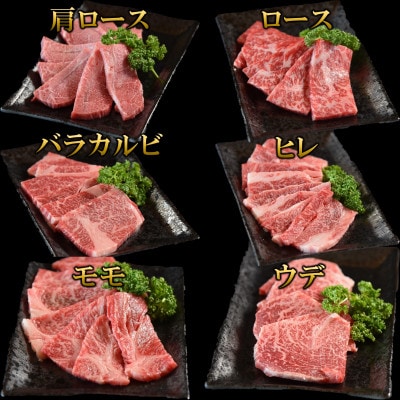A4等級以上3D冷凍宮崎牛6部位焼肉食べ比べセット600g【MI089】(三股町)
