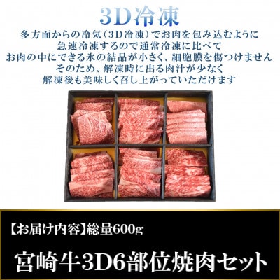 A4等級以上3D冷凍宮崎牛6部位焼肉食べ比べセット600g【MI089】(三股町)